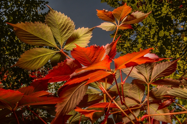 Der milden Woche folgt ein nasses, k�hles Wochenende