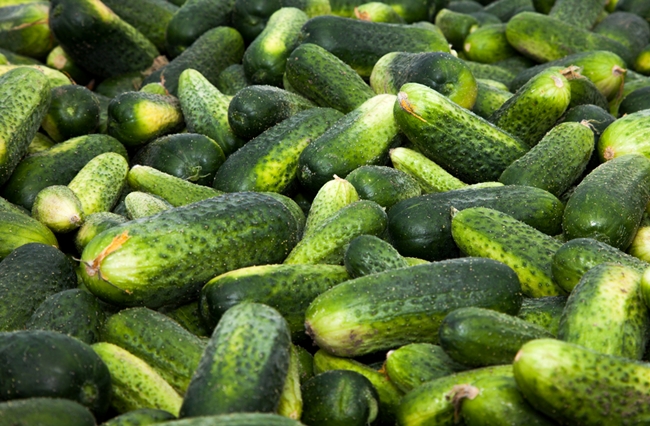 Spreew�lder Gurken